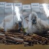 Fotografie 30 - Abeceda - skládání obrázků