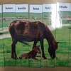 Fotografie 41 - Abeceda - skládání obrázků