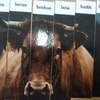 Fotografie 45 - Abeceda - skládání obrázků