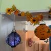 Fotografie 8 - Halloween