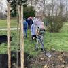 Fotografie 11 - Sázíme strom