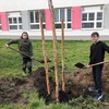 Fotografie 6 - Zasadili jsme strom