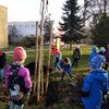 Fotografie 6 - Sázíme strom