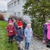 Fotografie 6 - Sázíme strom