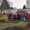 Fotografie 8 - Adoptovali jsme strom 