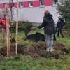 Fotografie 11 - Adoptovali jsme strom 