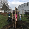 Fotografie 2 - Sázíme stromy na školní zahradě