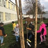 Fotografie 6 - Sázíme stromy na školní zahradě
