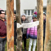Fotografie 1 - ADOPTOVALI JSME JABLOŇ