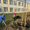 Fotografie 9 - ADOPTOVALI JSME JABLOŇ