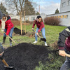 Fotografie 11 - ADOPTOVALI JSME JABLOŇ
