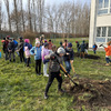 Fotografie 17 - ADOPTOVALI JSME JABLOŇ