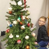 Fotografie 1 - Zdobení vánočního stromečku