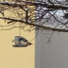 Fotografie 21 - Nové krmítko