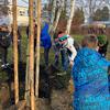Fotografie 6 - Advent 