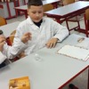 Fotografie 26 - Prvouka v laboratoři