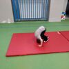 Fotografie 30 - Tělesná výchova nás baví