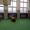 Fotografie 42 - Tělesná výchova nás baví