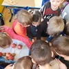 Fotografie 4 - Ochutnávka exotického ovoce