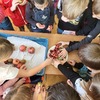 Fotografie 12 - Ochutnávka exotického ovoce