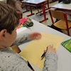 Fotografie 11 - Krmíme ptáčky