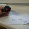 Fotografie 51 - Zvířátka z básní