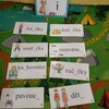 Fotografie 9 - Procvičujeme tvrdé a měkké slabiky