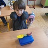 Fotografie 8 - OVOCE DO ŠKOL-OCHUTNÁVKA