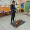 Fotografie 3 - Bezpečný pes