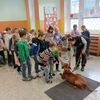 Fotografie 15 - Bezpečný pes