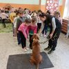 Fotografie 18 - Bezpečný pes