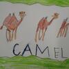Fotografie 19 - Animals