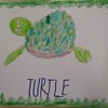 Fotografie 27 - Animals