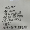 Fotografie 1 - Putování za zdravím