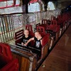 Fotografie 2 - Majaland
