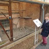 Fotografie 5 - Biopark