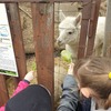 Fotografie 8 - Biopark