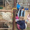 Fotografie 11 - Biopark