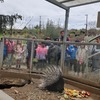 Fotografie 14 - Biopark