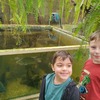 Fotografie 15 - Biopark