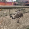 Fotografie 25 - Biopark