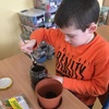 Fotografie 2 - Sejeme velikonoční travičku