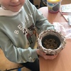 Fotografie 13 - Sejeme velikonoční travičku
