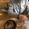 Fotografie 16 - Sejeme velikonoční travičku