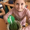 Fotografie 27 - Sejeme velikonoční travičku