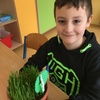 Fotografie 33 - Sejeme velikonoční travičku