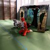 Fotografie 11 - Hledá si Khódl