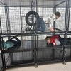 Fotografie 23 - Návštěva  u hasičů