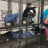 Fotografie 22 - Návštěva hasičské stanice
