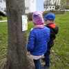 Fotografie 19 - Den Země - Venkovní aktivity